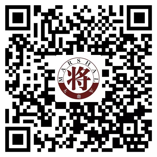 攻略丨了解多姿多彩的瓷磚紋理，才能裝出時尚有范的美好生活！
(圖11)